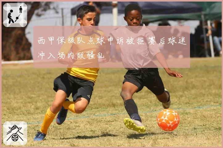 西甲保级队点球申诉被拒 赛后球迷冲入场内致骚乱