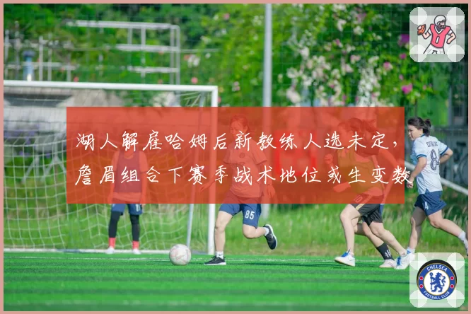 湖人解雇哈姆后新教练人选未定，詹眉组合下赛季战术地位或生变数