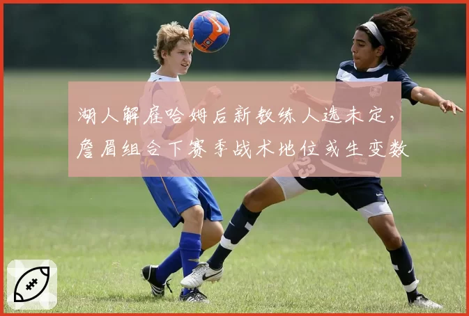 湖人解雇哈姆后新教练人选未定，詹眉组合下赛季战术地位或生变数