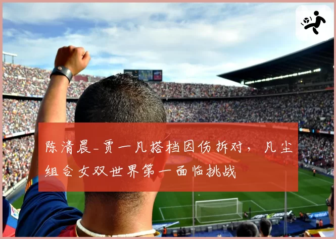 陈清晨_贾一凡搭档因伤拆对，凡尘组合女双世界第一面临挑战