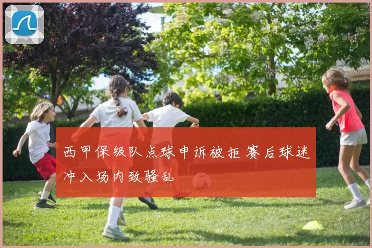 西甲保级队点球申诉被拒 赛后球迷冲入场内致骚乱